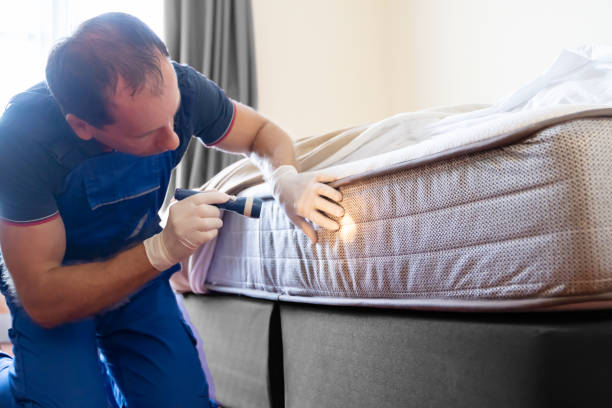 Best Bed Bug Extermination  in Coral Gables, FL